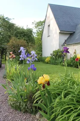 Jardin de l'établissement Gîte Bienvenue chez Naty