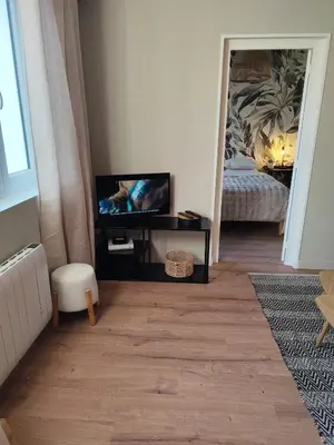 Télévision ou salle de divertissement dans l'établissement Appartement plein sud