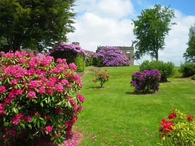 Jardin de l'établissement Charmante maison