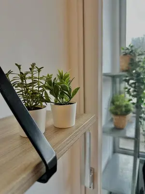 Balcon ou terrasse dans l'établissement Sydney - studio avec loggia, accès direct plage