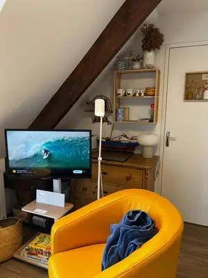 Télévision ou salle de divertissement dans l'établissement Les Mimosas -Joli appartement tout confort