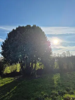 Paysage naturel près de la maison de vacances