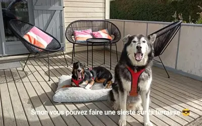 Plan de l'établissement Maison au calme entre Caen et Cabourg