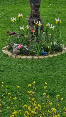 Jardin de l'établissement Gite chez Corinne et Marc