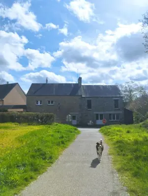 Animal ou animaux domestique(s) séjournant avec des clients dans l'établissement Gîte de La Bacouette