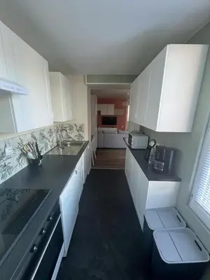 Cuisine ou kitchenette dans l'établissement Appartement lumineux design 2 chambres centre et Cité de la Mer