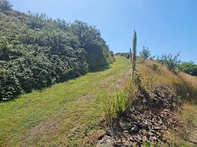 Paysage naturel près de la maison de vacances