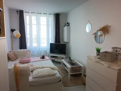 Télévision ou salle de divertissement dans l'établissement Le petit nid de Katia