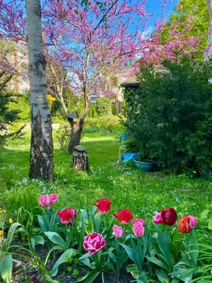Jardin de l'établissement l'ESCALE