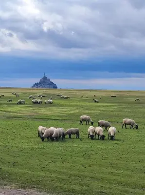 Paysage naturel près de le B&B/chambre d'hôtes