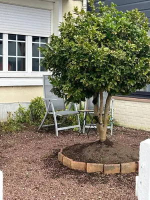 Jardin de l'établissement Fair Field
