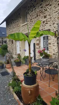 Jardin de l'établissement Gîte Esprit Mer