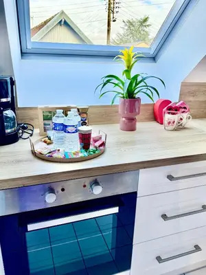 Cuisine ou kitchenette dans l'établissement Escale du mont