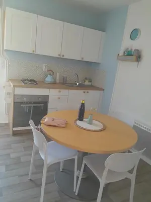 Cuisine ou kitchenette dans l'établissement Appartement 2 pieces