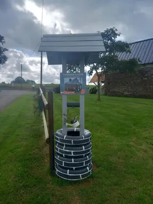 Jardin de l'établissement Studio dans une longère en pierre à la campagne
