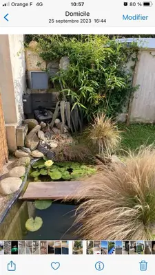 Plan de l'établissement Tiny house