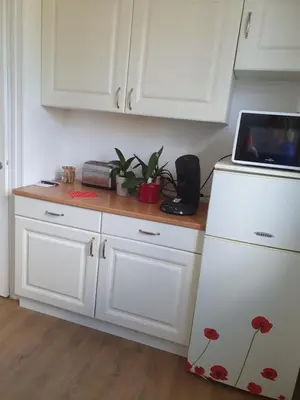 Cuisine ou kitchenette dans l'établissement Le nouveau monde