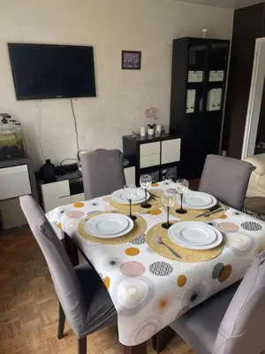 Télévision ou salle de divertissement dans l'établissement Appartement proche du centre - 58 m2