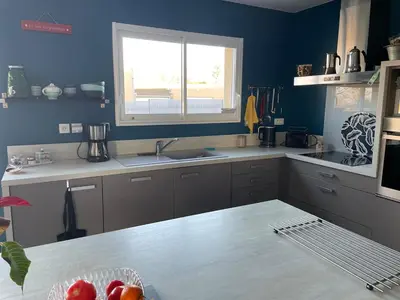 Cuisine ou kitchenette dans l'établissement Le coin des piplettes