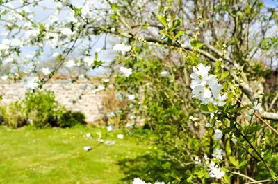 Jardin de l'établissement Gîte des Sangles