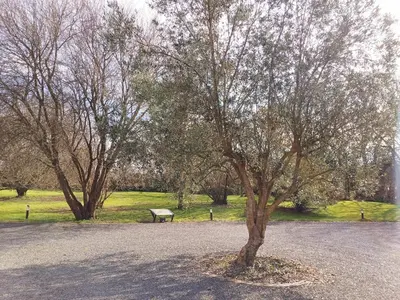 Jardin de l'établissement 4 minutes from Sainte-Mère-Église - Independent apartment on first floor of big house with garden and heated pool opened if weather is ok
