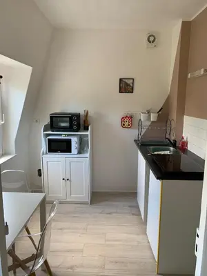 Cuisine ou kitchenette dans l'établissement Le Jardin du Haras