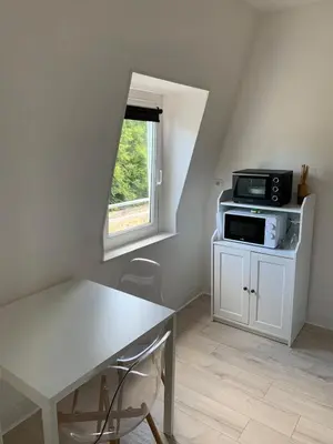 Cuisine ou kitchenette dans l'établissement Le Jardin du Haras