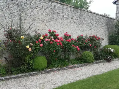 Jardin de l'établissement Victoria Arromanches B&B