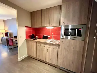 Cuisine ou kitchenette dans l'établissement Joli studio sur les quais