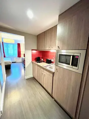 Cuisine ou kitchenette dans l'établissement Joli studio sur les quais