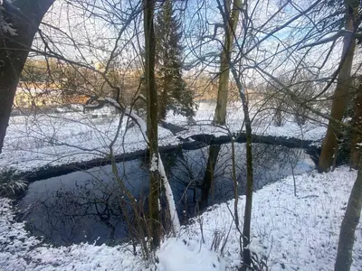 L'établissement Tiny house des cyclamens St André sur Orne en hiver