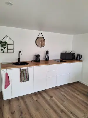 Cuisine ou kitchenette dans l'établissement Les pachas