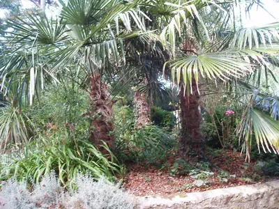 Jardin de l'établissement Chateau des poteries