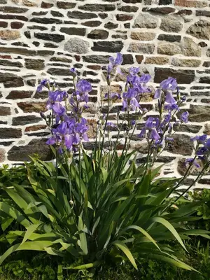 Jardin de l'établissement Ferme de la Motte
