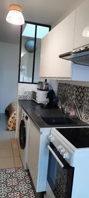 Cuisine ou kitchenette dans l'établissement appartement centre ville