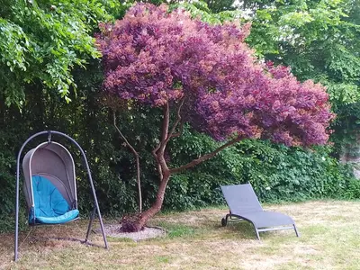 Jardin de l'établissement Chez Camille et Pierre