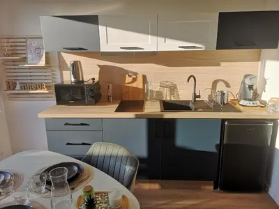 Cuisine ou kitchenette dans l'établissement Studio
