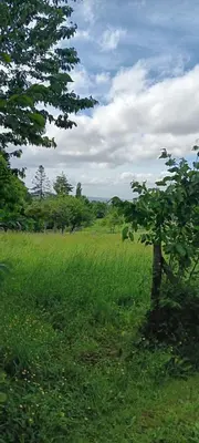 Paysage naturel près de la maison de vacances