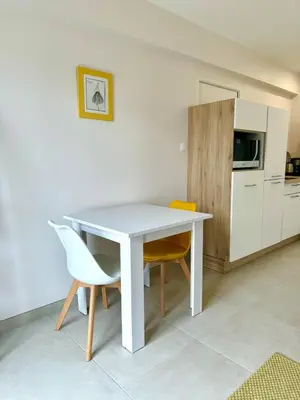 Cuisine ou kitchenette dans l'établissement Studio cosy