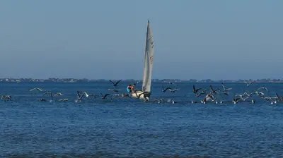 Paysage naturel près de le séjour chez l'habitant