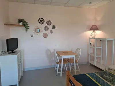 Télévision ou salle de divertissement dans l'établissement Le Lerry aux Pierres Bleues