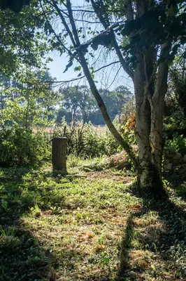 Jardin de l'établissement La Cour Souveraine - Chambre d'hôtes La Péninsule