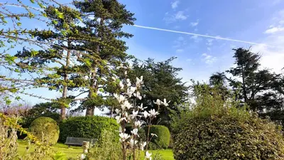 Jardin de l'établissement Escapade nature à deux dans un gîte cosy bordé d'un parc arboré