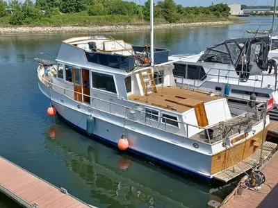 Vue sur la rivière ou le fleuve situé(e) à proximité de le bateau