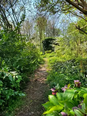 Jardin de l'établissement Le Jardin des Papillons, gîte et chambre d'hôtes à Saint Fraimbault