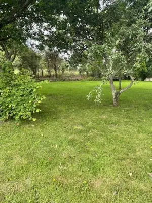 Jardin de l'établissement Gîte à la campagne