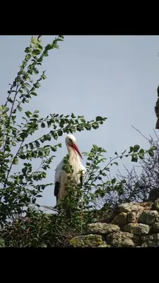 Plan de l'établissement La Salicorne hébergement insolite