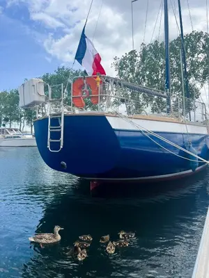 Paysage naturel près de le bateau