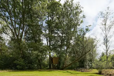 Jardin de l'établissement Les Hulottes
