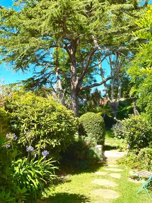 Jardin de l'établissement Les jardins du Tôt